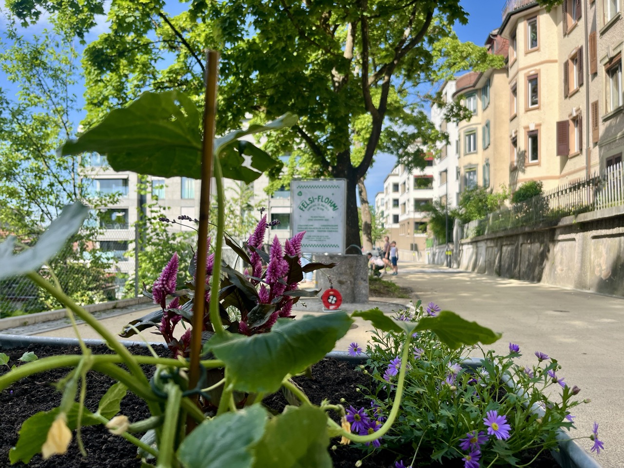 Stamm im Einstein